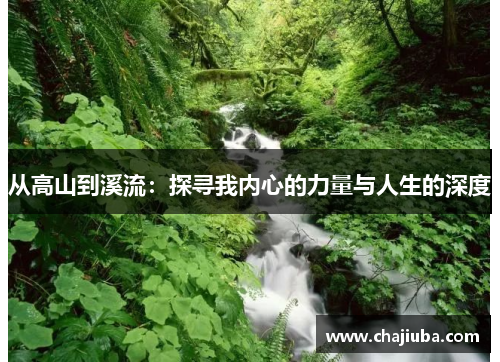 从高山到溪流：探寻我内心的力量与人生的深度